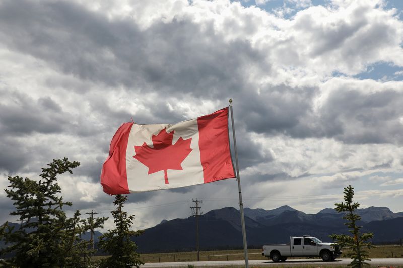 Канада усилит поддержку сталелитейной и лесной отраслей