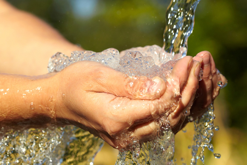 Какие ESG-темы будут наиболее актуальны для инвесторов в 2026 году?