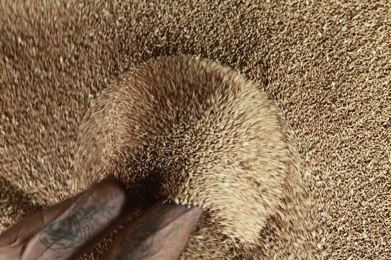 Россия почти в два раза повысила квоту на экспорт зерна