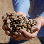 США разрабатывают минимальные цены на критические минералы с Мексикой, ЕС и Японией