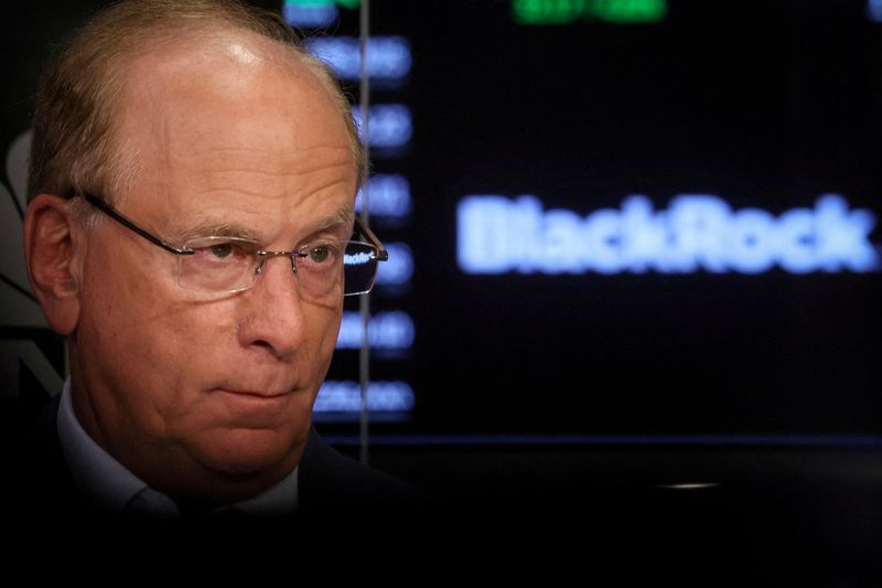 Финк из BlackRock: бум ИИ может усилить неравенство без доступа к рынкам